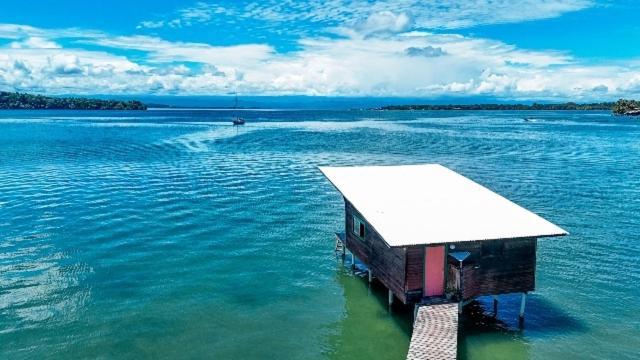 The Sea Monkey Hotel Бокас дел Торо Екстериор снимка